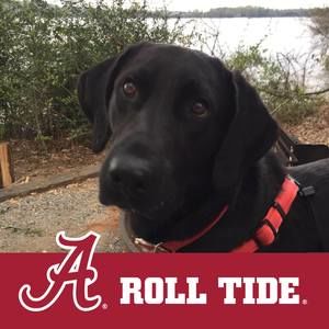 Meet your Posher, Robin